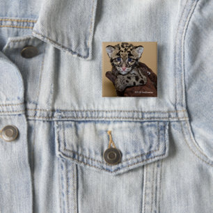 Clouded Leopard Cub 15 Cm Square Badge