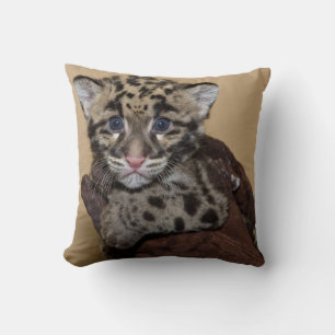 Clouded Leopard Cub Cushion