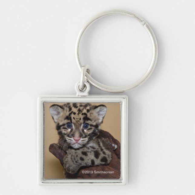 Clouded Leopard Cub Key Ring (Front)