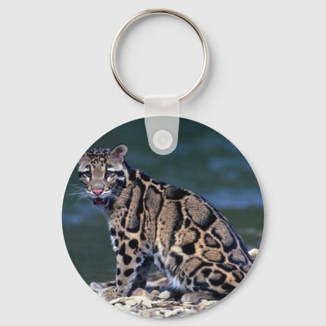 Clouded Leopard-eye contact Key Ring (Front)