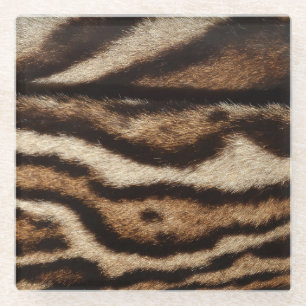Clouded leopard fur, exotic pattern. glass coaster