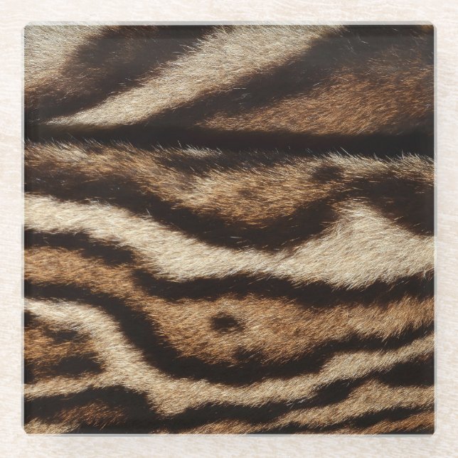 Clouded leopard fur, exotic pattern. glass coaster (Front)
