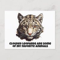 Clouded leopard head leopard favourite animal