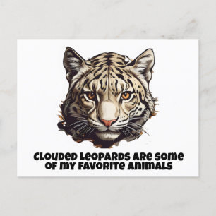 Clouded leopard head leopard favourite animal postcard