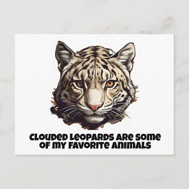 Clouded leopard head leopard favourite animal postcard (Front)