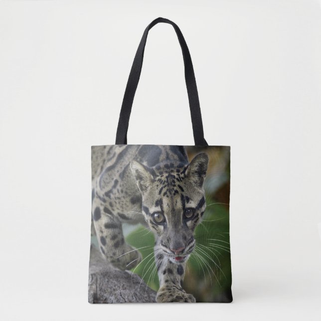 Clouded Leopard on the Move Tote Bag (Front)