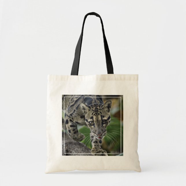Clouded Leopard on the Move Tote Bag (Front)