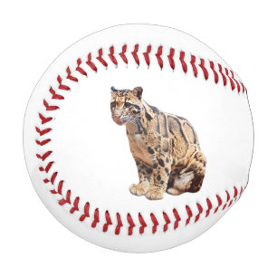 clouded leopard photograph jungle big cat animal baseball