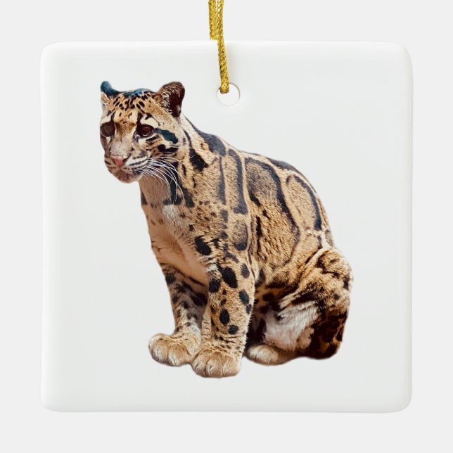 clouded leopard photograph jungle big cat animal   ceramic ornament (Front)