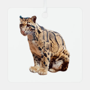 clouded leopard photograph jungle big cat animal   metal tree decoration
