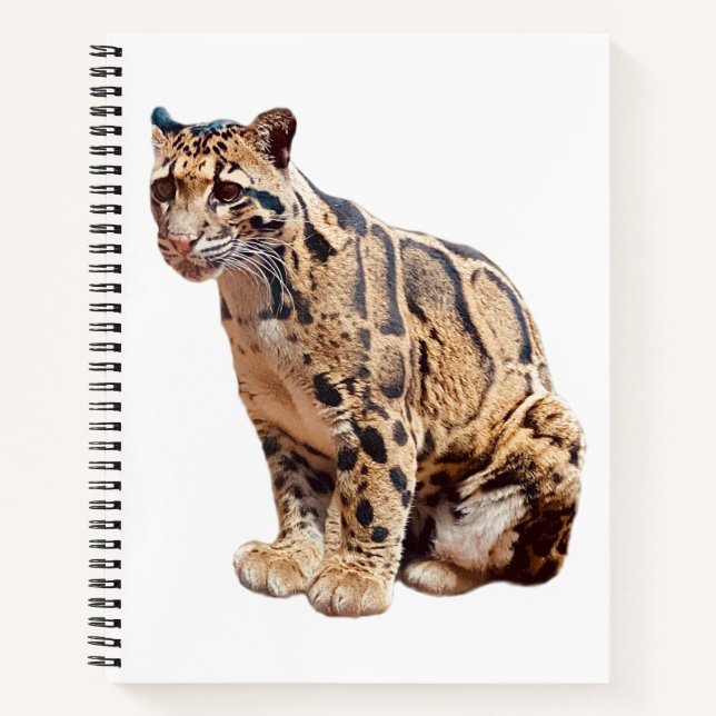 clouded leopard photograph jungle big cat animal   notebook (Front)