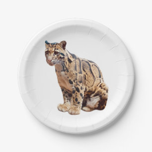 clouded leopard photograph jungle big cat animal   paper plate