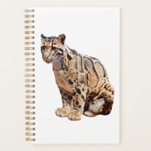 clouded leopard photograph jungle big cat animal planner