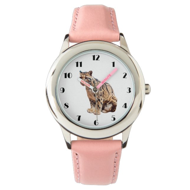 clouded leopard photograph jungle big cat animal   watch (Front)