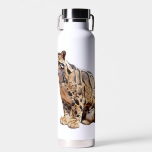 clouded leopard photograph jungle big cat animal   water bottle