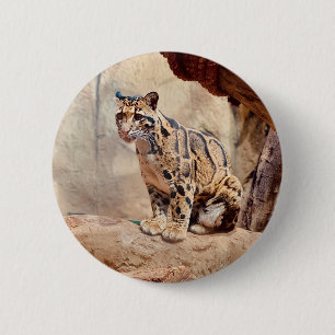 clouded leopard picture nature 6 cm round badge