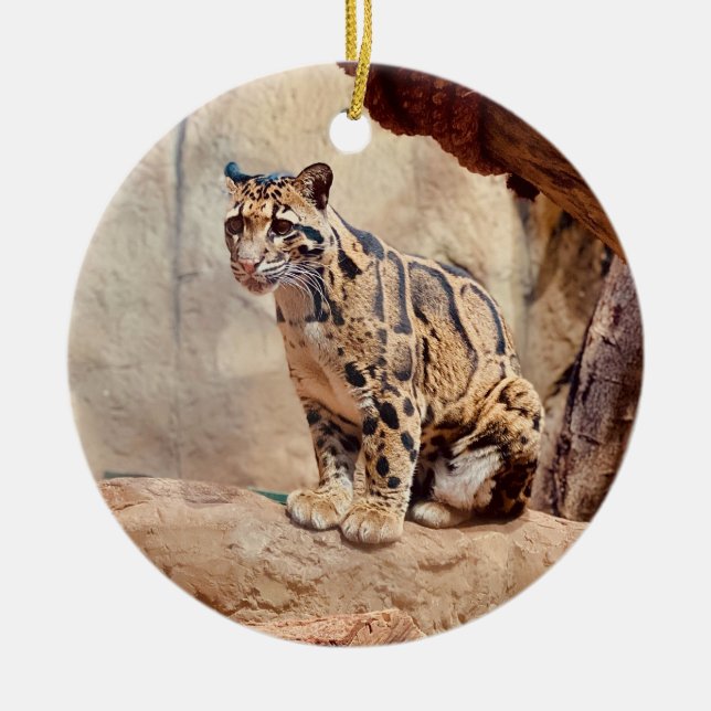 clouded leopard picture nature  ceramic ornament (Front)