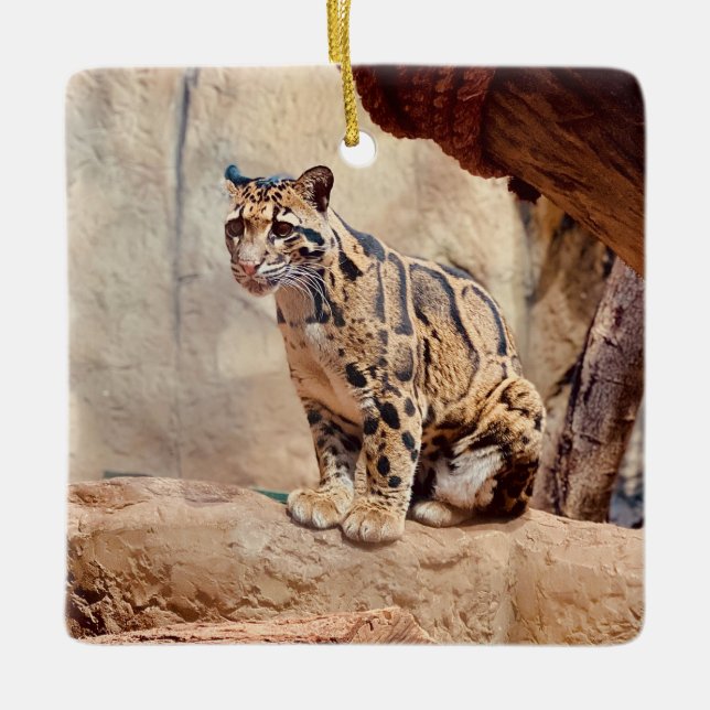 clouded leopard picture nature  ceramic ornament (Front)