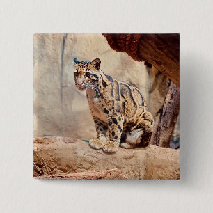 clouded leopard picture nature wildlife exotic 15 cm square badge