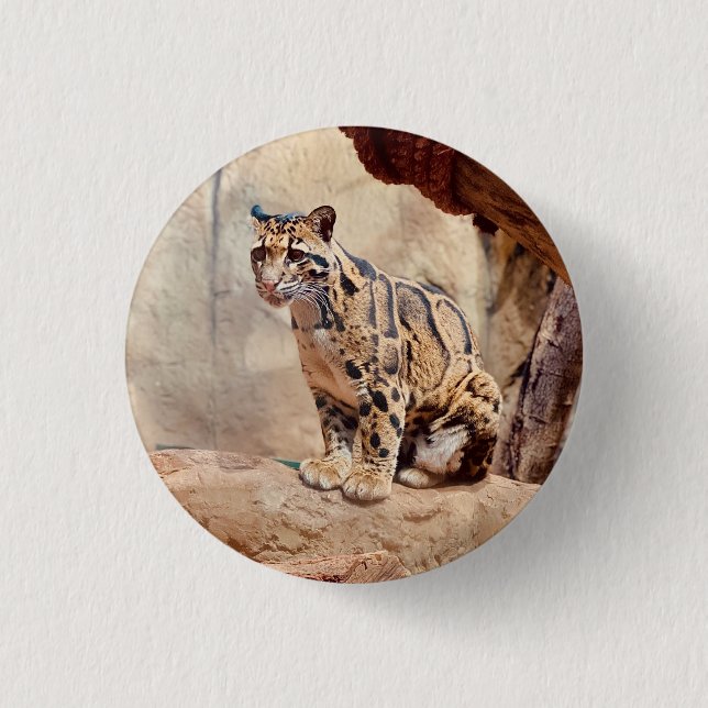 clouded leopard picture nature wildlife exotic 3 cm round badge (Front)