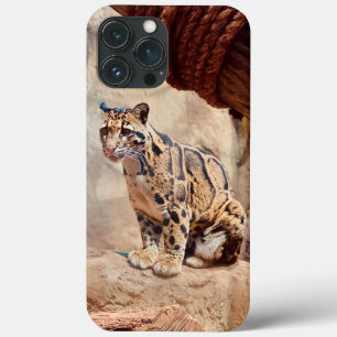 clouded leopard picture nature wildlife exotic iPhone 13 pro max case