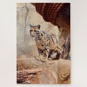 clouded leopard picture nature wildlife exotic jigsaw puzzle