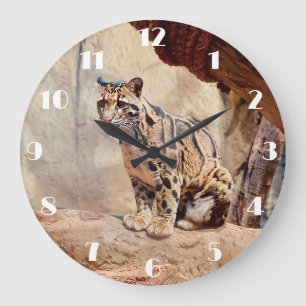 clouded leopard picture nature wildlife exotic large clock