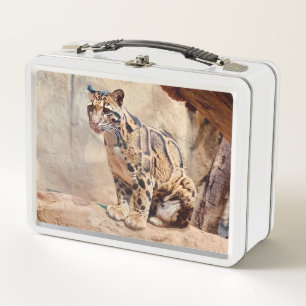 clouded leopard picture nature wildlife exotic metal lunch box