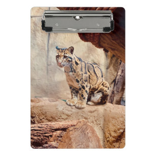 clouded leopard picture nature wildlife exotic mini clipboard