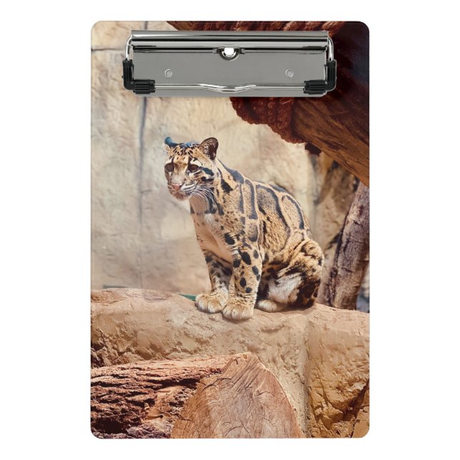 clouded leopard picture nature wildlife exotic mini clipboard (Front)