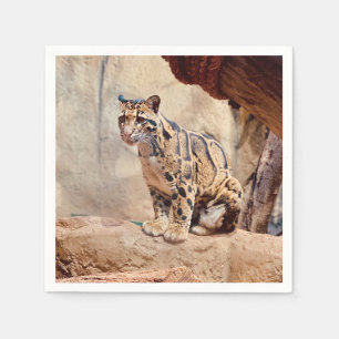 clouded leopard picture nature wildlife exotic napkin