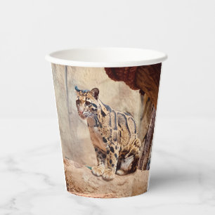 clouded leopard picture nature wildlife exotic paper cups