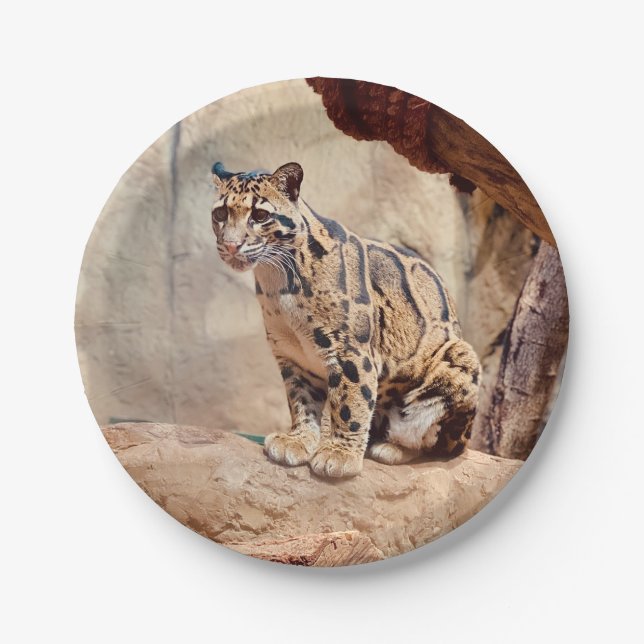 clouded leopard picture nature wildlife exotic paper plate (Front)