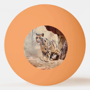 clouded leopard picture nature wildlife exotic ping pong ball