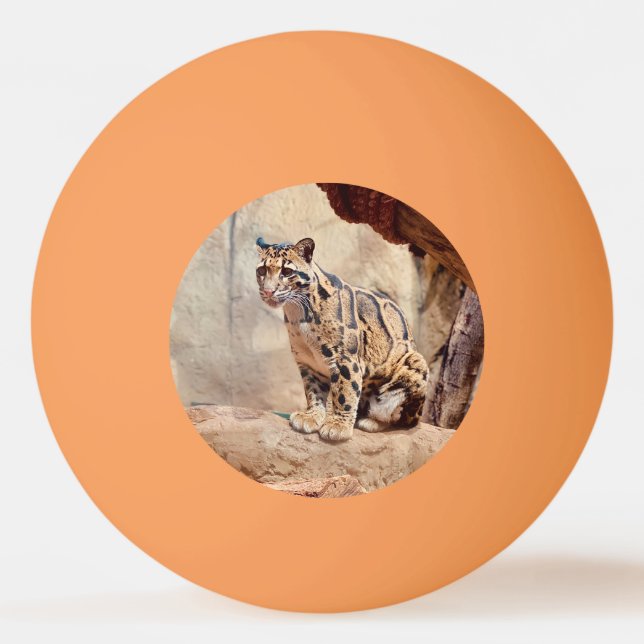 clouded leopard picture nature wildlife exotic ping pong ball (Front)
