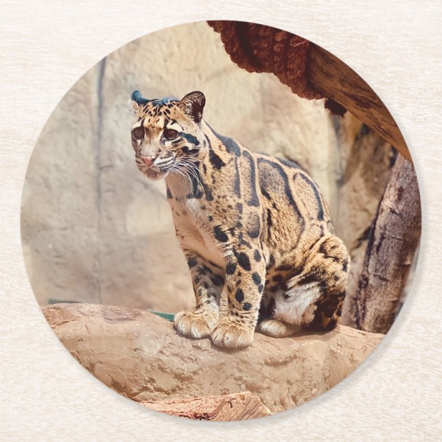 clouded leopard picture nature wildlife exotic round paper coaster (Front)