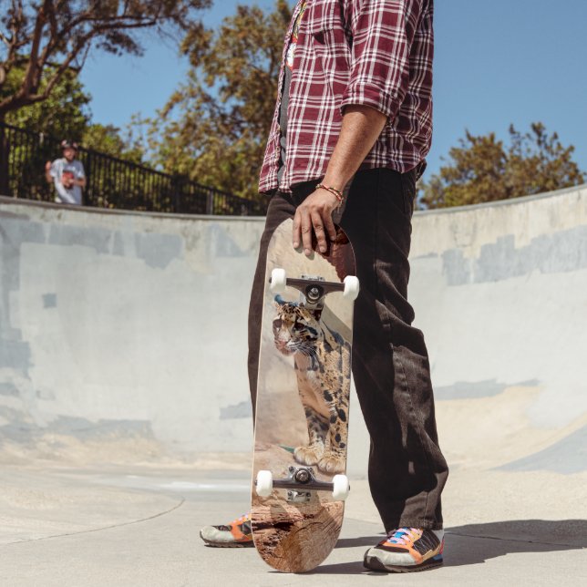 clouded leopard picture nature wildlife exotic skateboard (Outdoor 2)