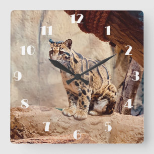 clouded leopard picture nature wildlife exotic square wall clock
