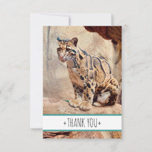 clouded leopard picture nature wildlife exotic thank you card