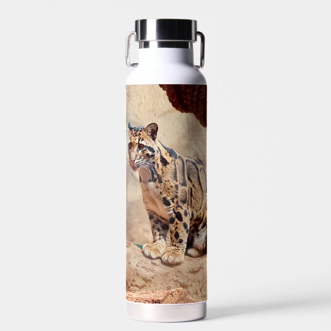 clouded leopard picture nature wildlife exotic water bottle (Front)