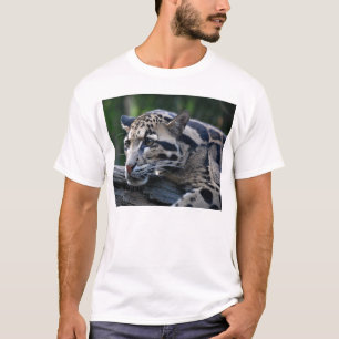 Clouded Leopard T-Shirt