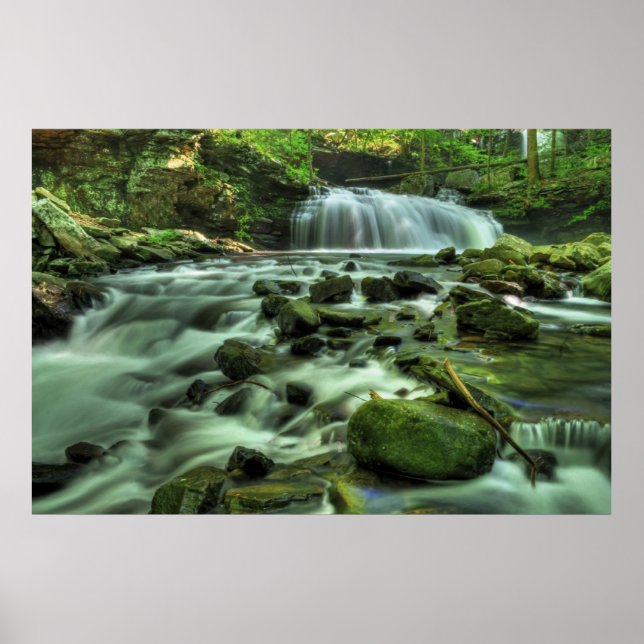 Cloudland Canyon Waterfall Poster (Front)