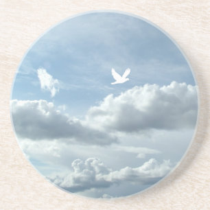clouds and bird coaster