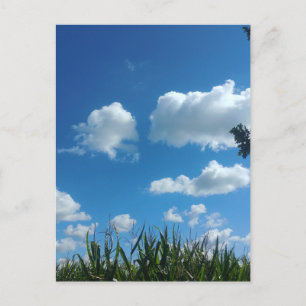 Clouds And Blue Sky Postcard