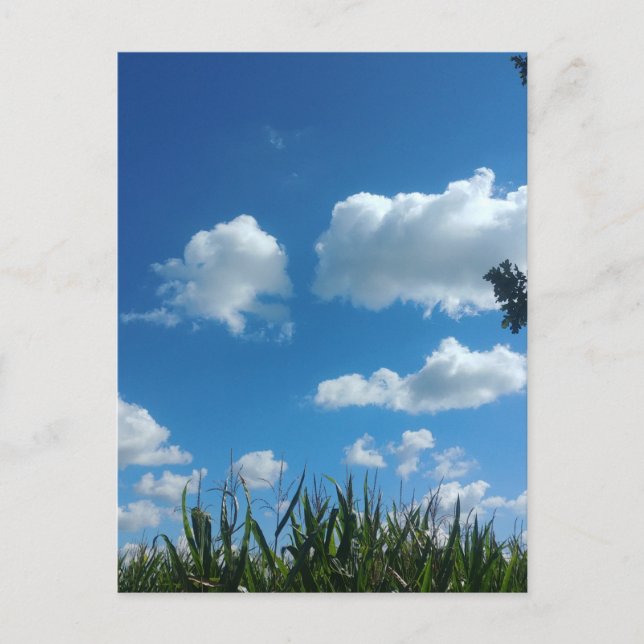 Clouds And Blue Sky Postcard (Front)