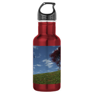 Clouds Go Sailing By 532 Ml Water Bottle