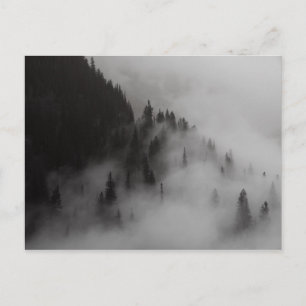 Clouds in Logan Pass Glacier NP Postcard