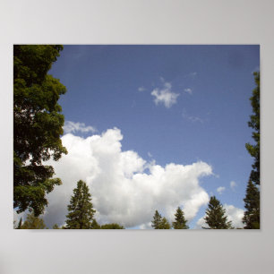Clouds Over Tree Tops Poster