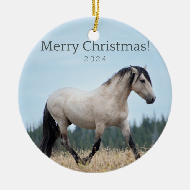 Cloud's Pride: Pryor Wild Mustang Ornament (Front)