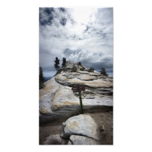 Clouds Rest - Yosemite Photo Print
